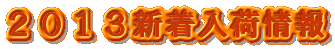2013新着入荷情報